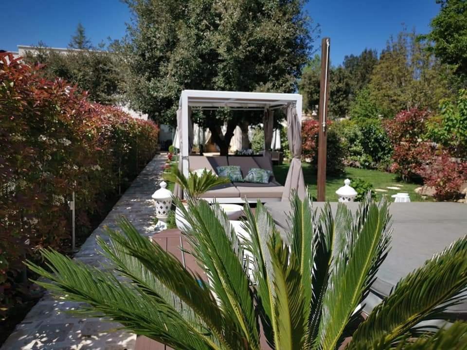 Apulia Dream B&B Le Lamie di Olimpe Екстер'єр фото